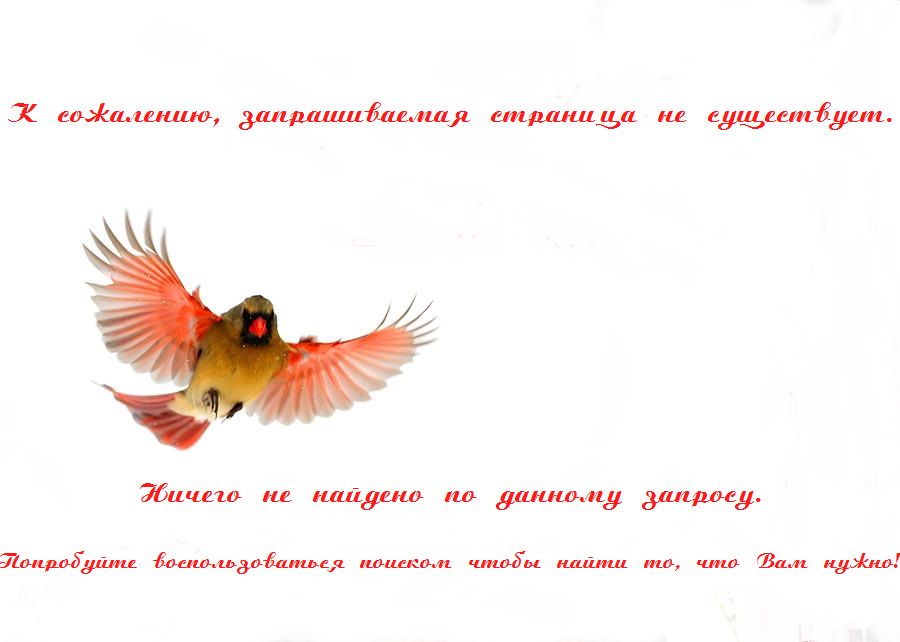 Страница 404