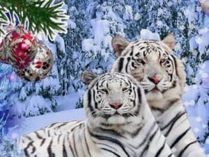 новый год тигра приметы и суеверия