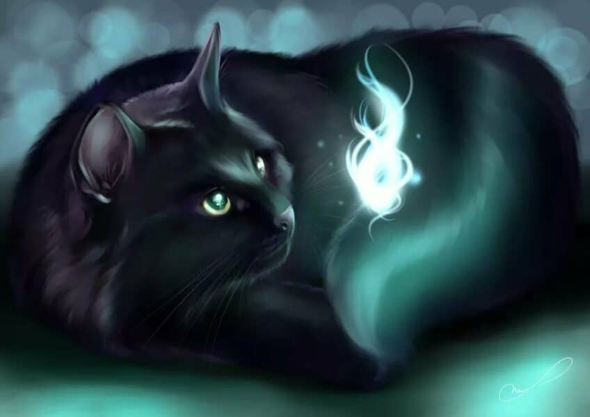 к чему снится черная кошка или кот