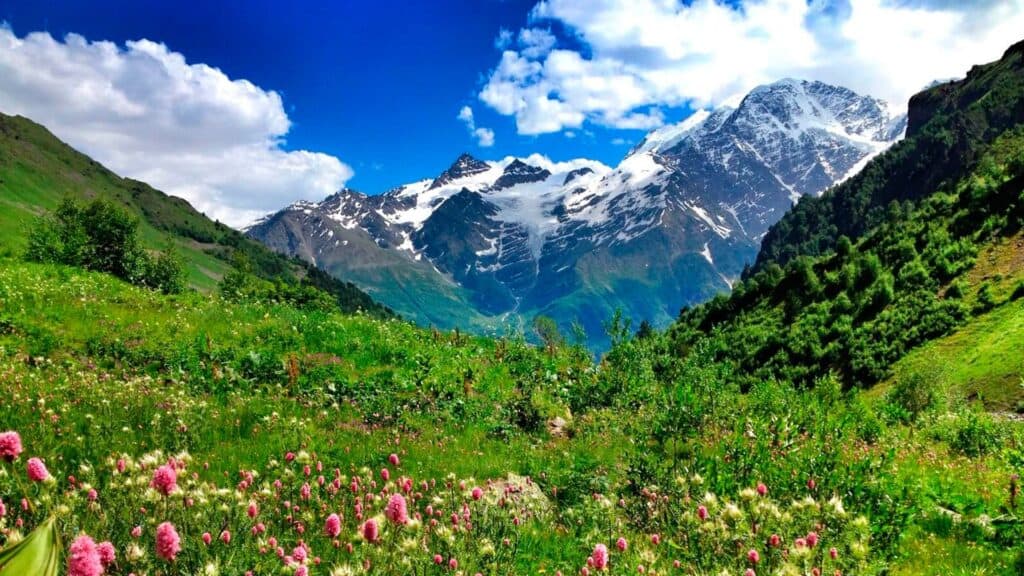 летом в горах кавказа