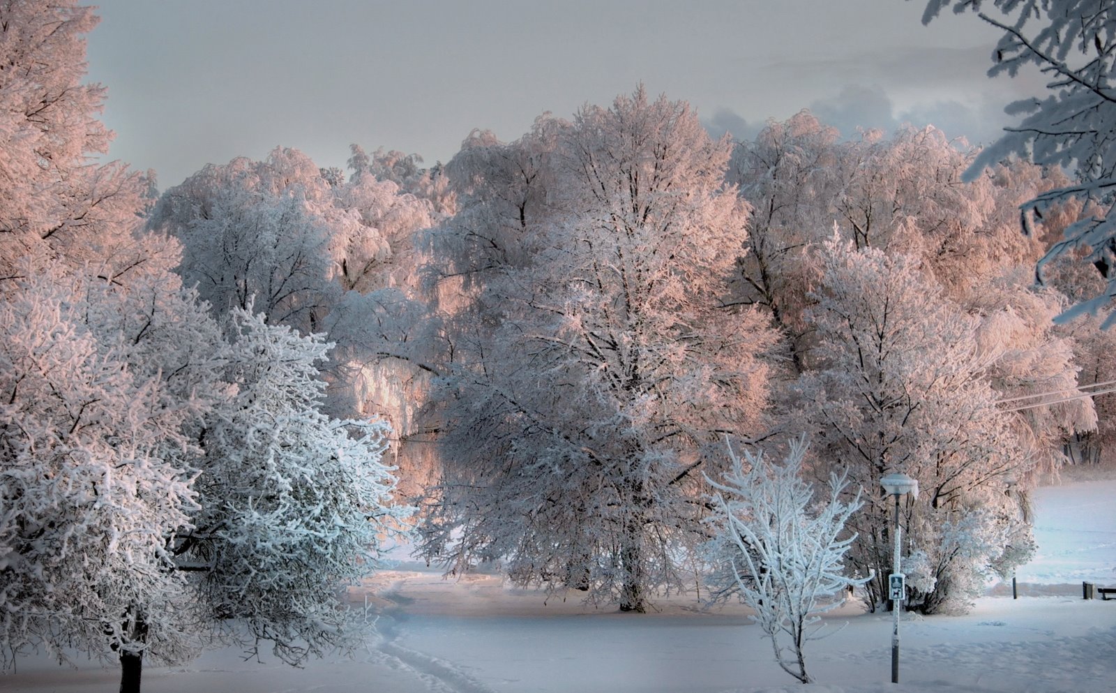 Грудень. Очарование зимы. Декабрь природа. Красота зимы фото. Январь пейзаж.